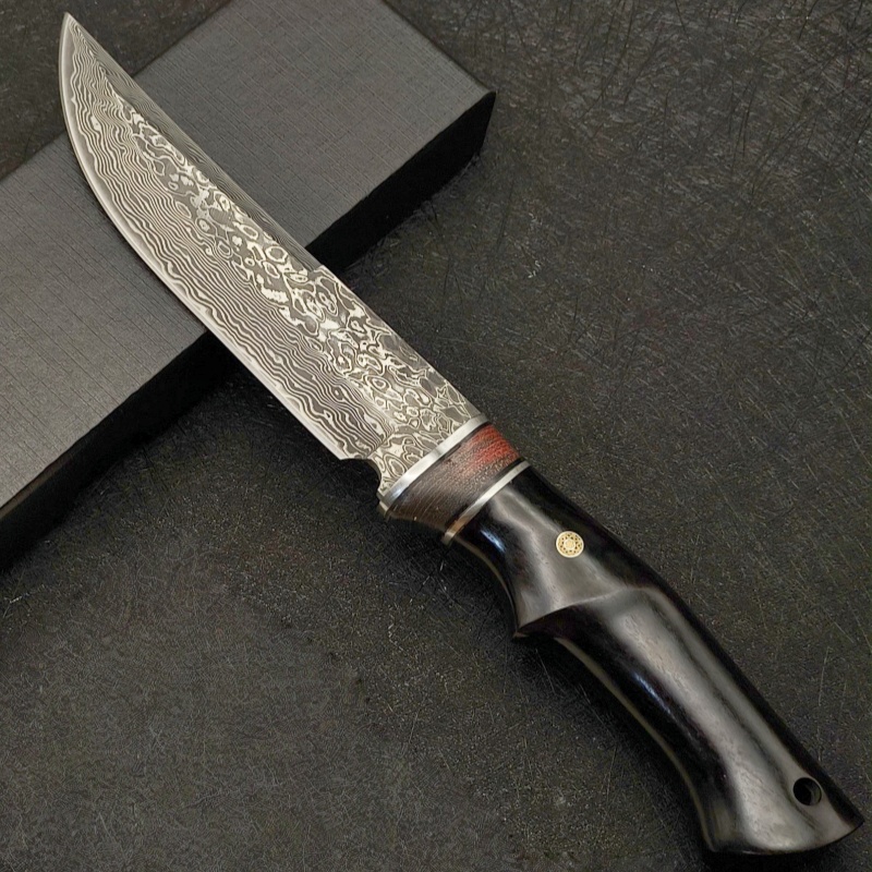 Damascus VG10 outdoor high har - đánh giá và giá Dive Knife Titanium